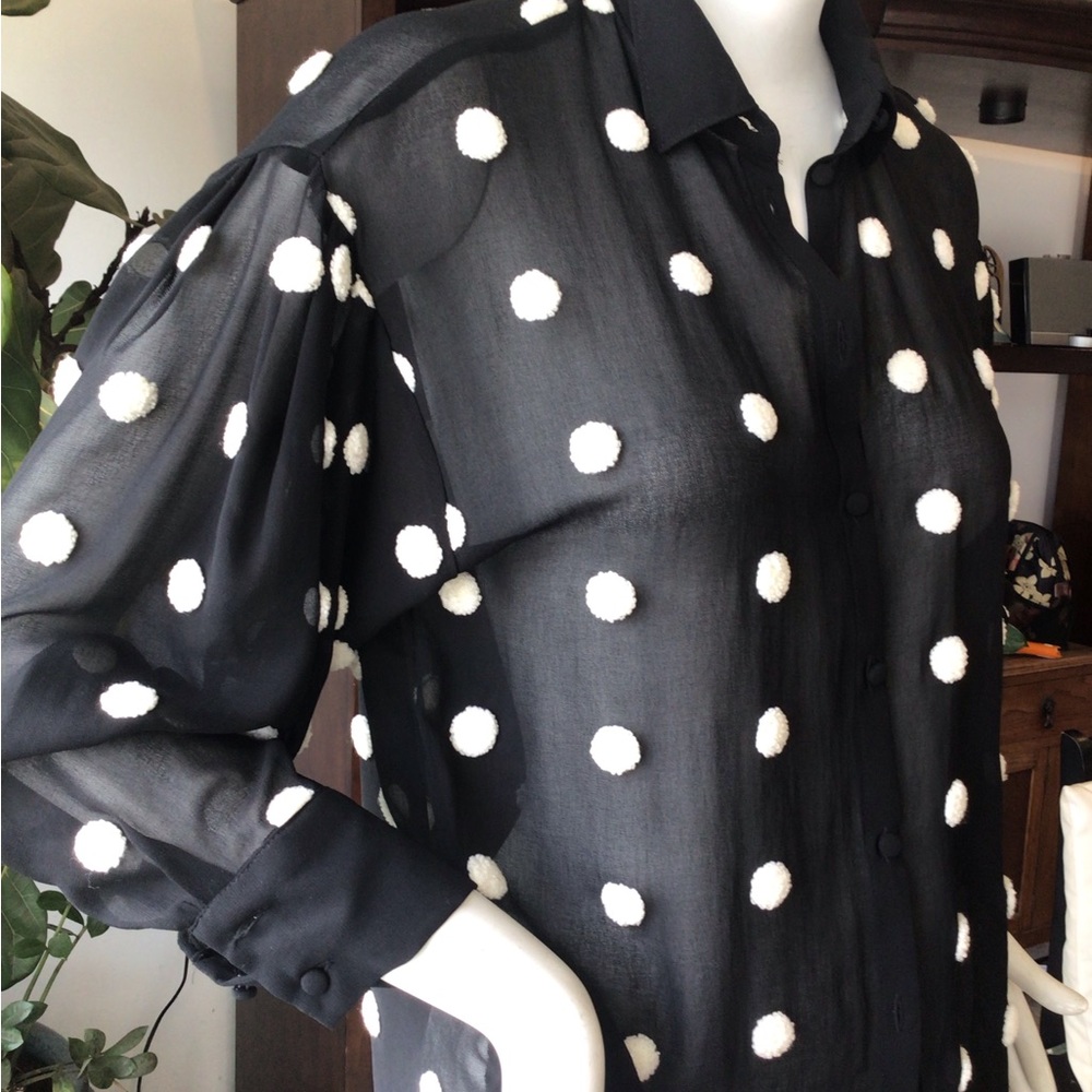 Zara sheer blouse
